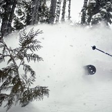 Photo from Fernie Alpine