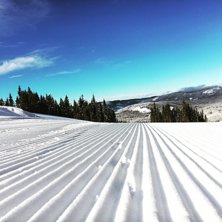 Rider: Photo: Rider: Photo: