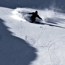 Rider: Timmy Sepp Photo: Rider: Timmy Sepp Photo: